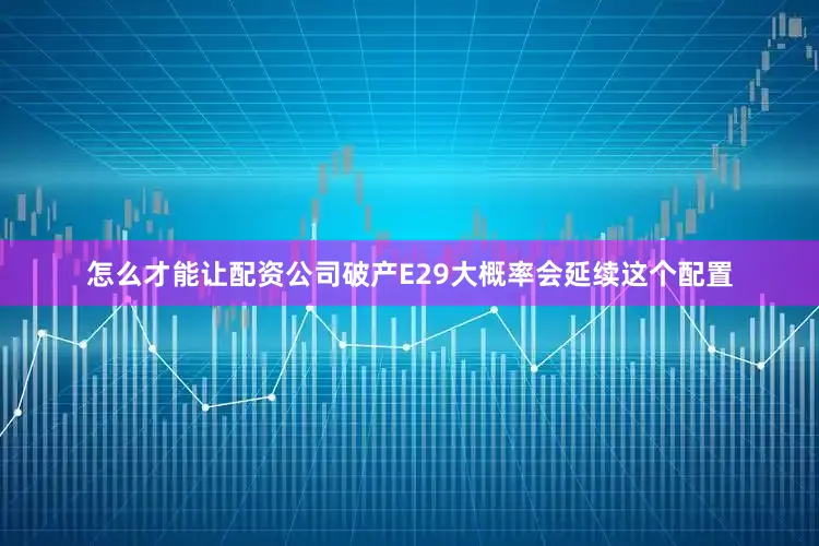怎么才能让配资公司破产E29大概率会延续这个配置