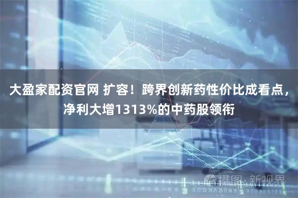 大盈家配资官网 扩容!跨界创新药性价比成看点,净利大增1313%的中药股领衔